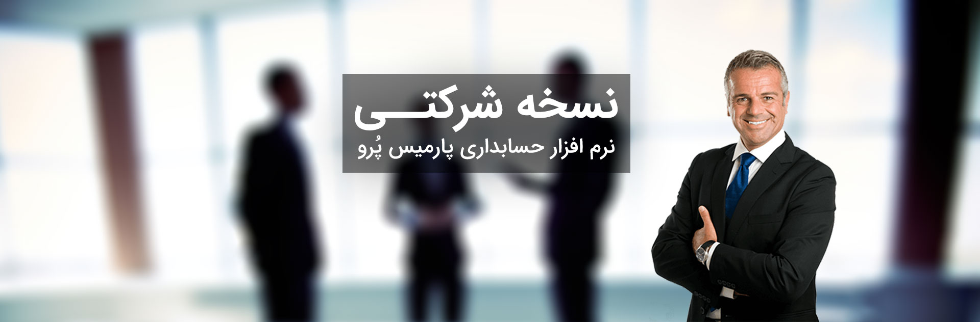 نرم افزار حسابداری شرکتی پارمیس پرو