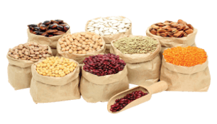 نرم افزار حسابداری حبوبات و غلات
