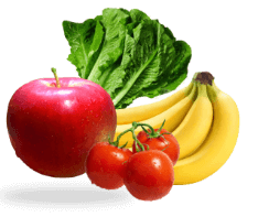 نرم افزار حسابداری میوه و تره بار