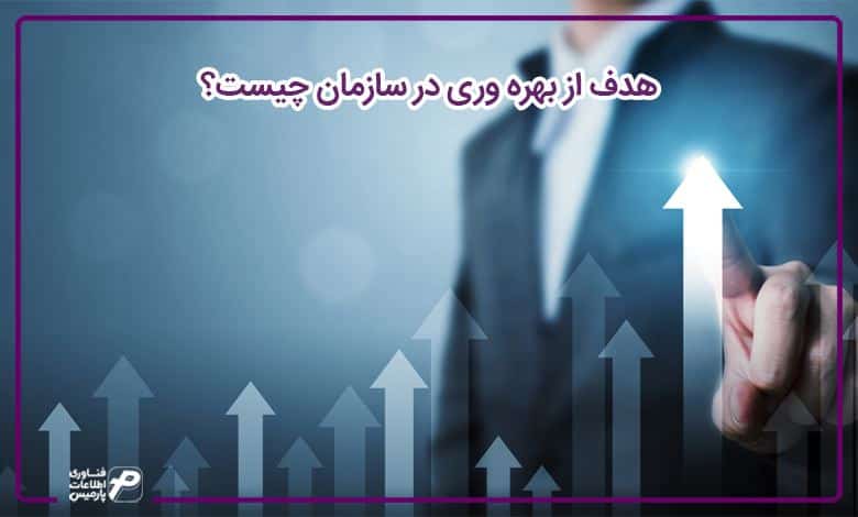 هدف از بهره وری در سازمان چیست؟