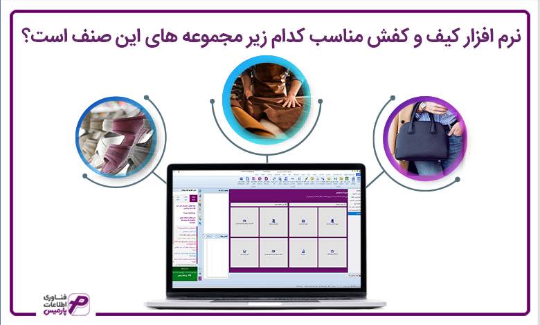 نرم افزار کیف و کفش مناسب کدام زیر مجموعه های این صنف است؟