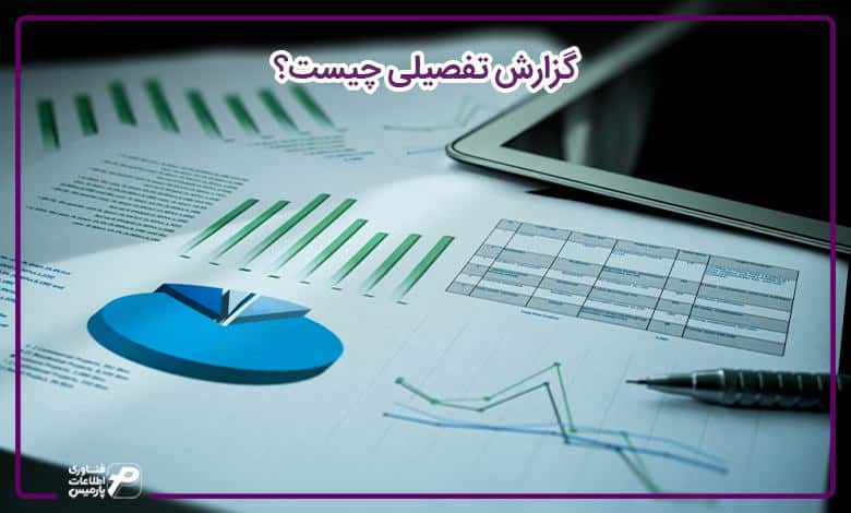 گزارش تفصیلی چیست؟